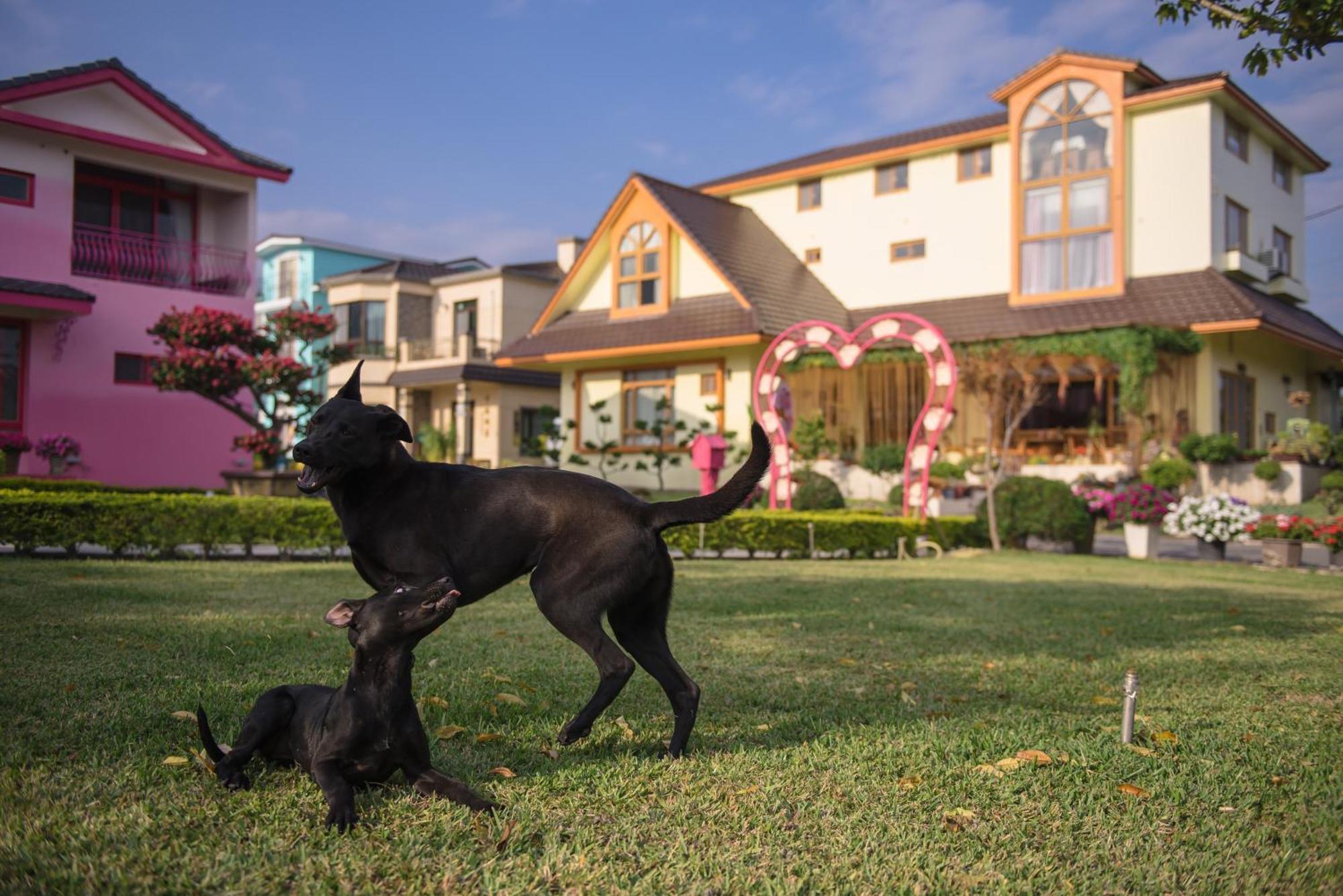 Xinfu Traveler Inn Taiping  Zewnętrze zdjęcie