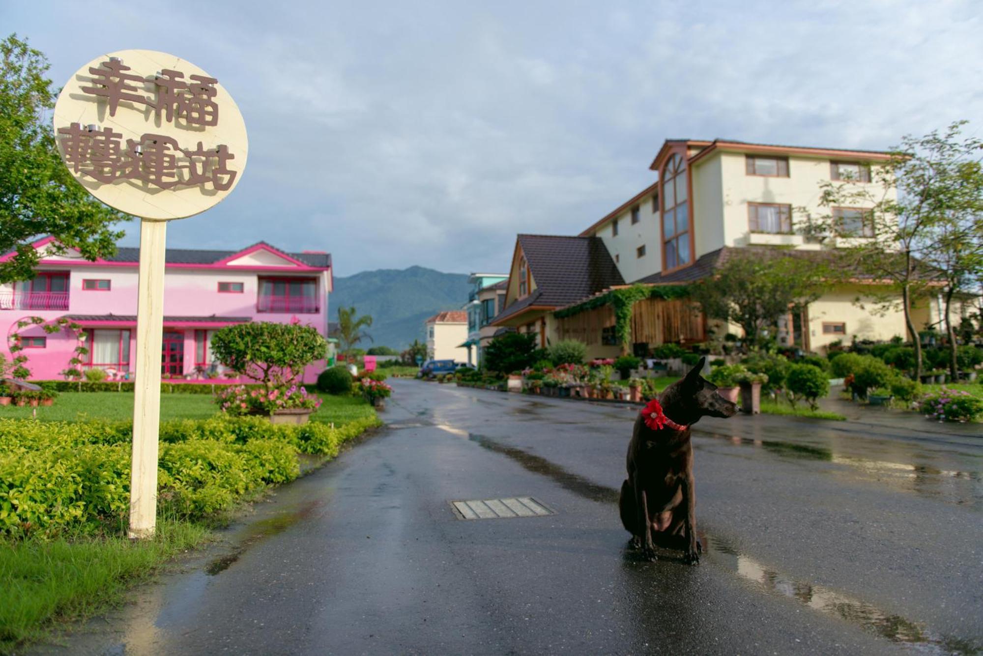 Xinfu Traveler Inn Taiping  Zewnętrze zdjęcie